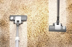 Professional Carpet Cleaning Company in H2