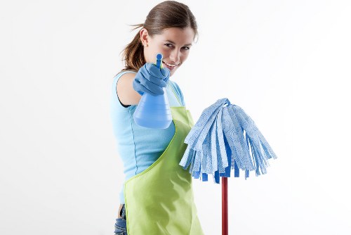 Move out cleaning checklist with organized cleaning supplies