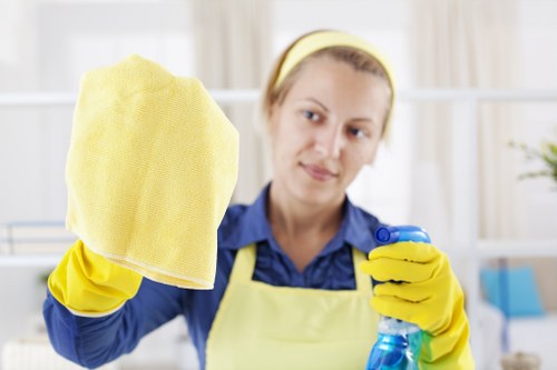 Deep cleaning supplies arranged for a home cleaning session