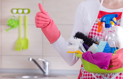 Kitchen and bathroom domestic cleaning essentials
