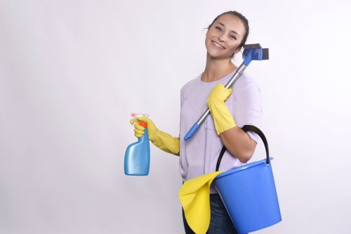 Seasonal deep cleaning tasks for a fresh and tidy home