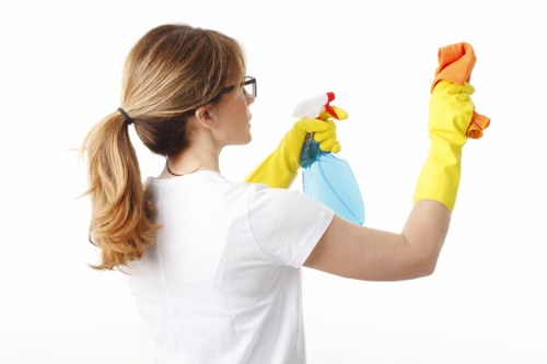 Daily office cleaning routine for a tidy office