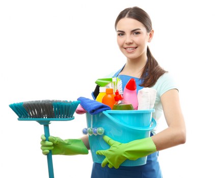 Eco-friendly domestic cleaning products and supplies