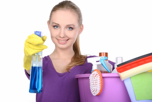 Professional cleaning supplies for move-out cleaning